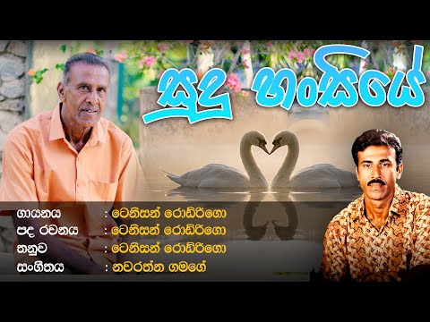 Tenison Rodrigo | Sudu Hansiye (සුදු හංසියේ) | [Original Audio] | New Sinhala Song