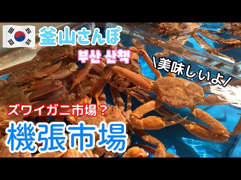 Caranguejo da neve extra grande e caranguejo real? ! Vamos passear pelo Mercado Gijang - Um mercado local popular entre os turistas [Busan Stroll] vol.86