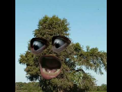 Lennox Foxwood - This lost land (Full Mixtape)