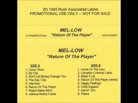 Mel-Low - Child Support (1993)