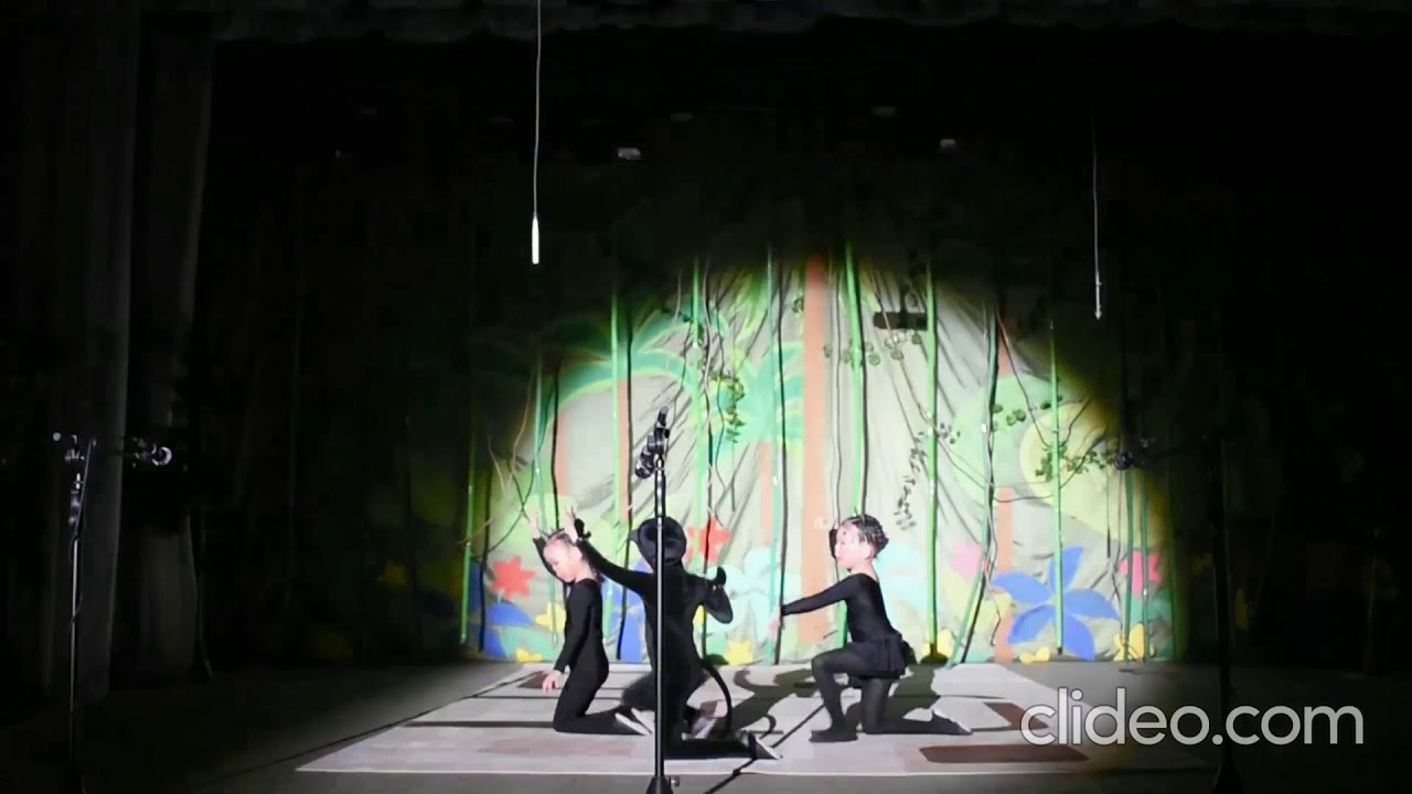 6. Студия гимнастики «Flamingo» Пантеры