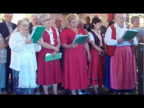 Schwarze Modonna in der Kath. Kirche Pojorâta.avi