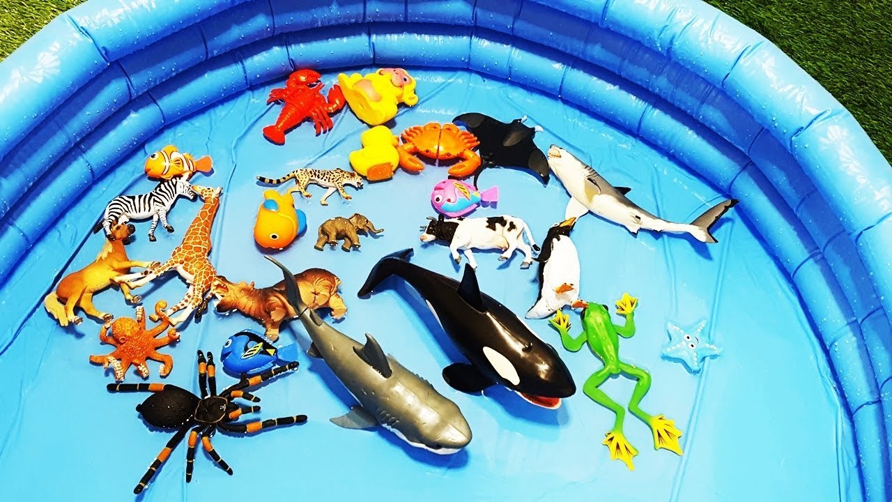 Learn Colors Wild Animals! Learn Farm Animals for Children