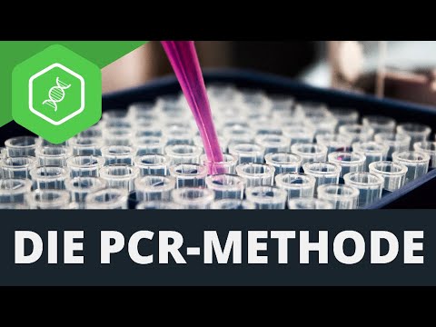 The PCR method