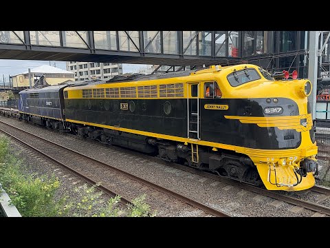 15/2/26 - SSR T277 passing Dulwich Hill with S317 and GM27