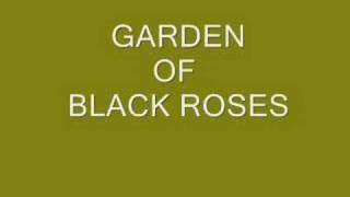 Garden Of Black Roses.
