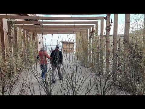 Mamaia Nord / Mamaia Sat / Năvodari - 10 Ianuarie 2023