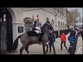 8 Times The Kings Guard Used Their Horse To Move Tourist S Away Horseguardsparade