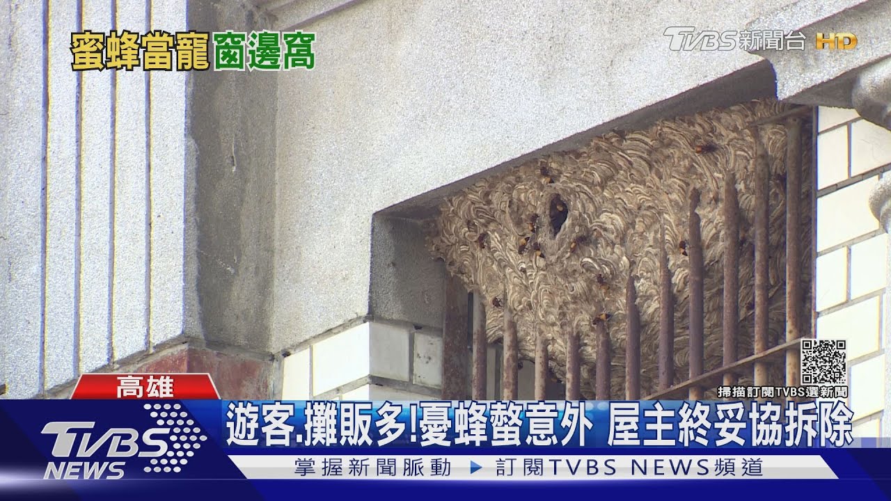 旗山老街驚見虎頭蜂窩！　屋主淡定3度拒拆