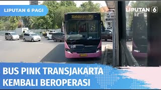 Download lagu Marak Kasus Pelecehan, Bus Pink Transjakarta Kembali Beroperasi | Liputan 6 mp3
