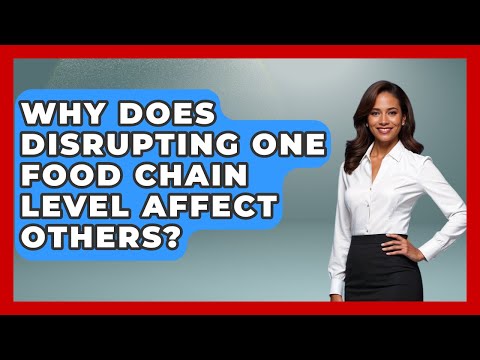 Why Does Disrupting One Food Chain Level Affect Others? - Explaining Ecology