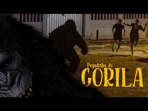 PEGADINHA DO GORILA (FUGIU DO CIRCO) | Rafael Chocolate