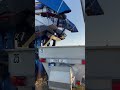 IMG 64473