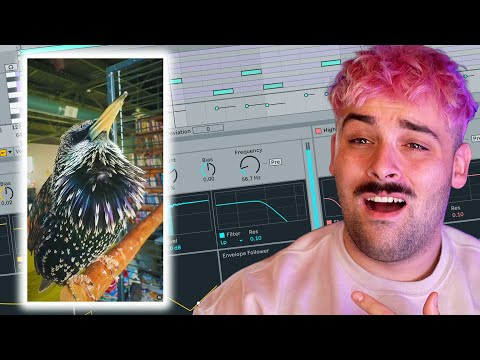 This Bird Does Amazing Sound Design