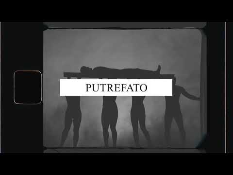 Rima Rica Frase Feita video
