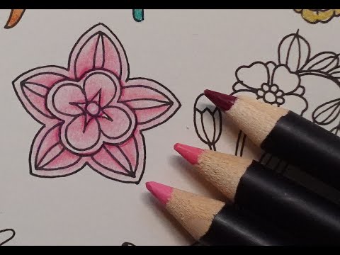 Adult Colouring Tutorial Light Pink Flower - from Ivy and the Inky Butterfly by Johanna Basford