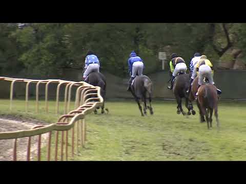 Dostihy Lysá nad Labem 28. 9. 2022 - 8. dostih - Proutěné překážky Charvát Group