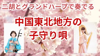 【中国東北地方の子守唄(揺籃曲)】二胡 渡嘉敷かおる×ハープ 邊見美帆子🌸 Lullaby from Northeast China : Erhu x Harp