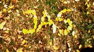 Weekend with Backpack | Low Mountains | Oscar Dolowy