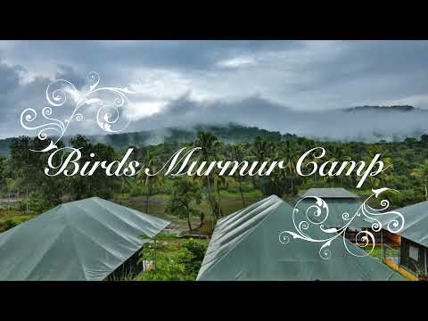 Birds Murmur Camp - Thattekad