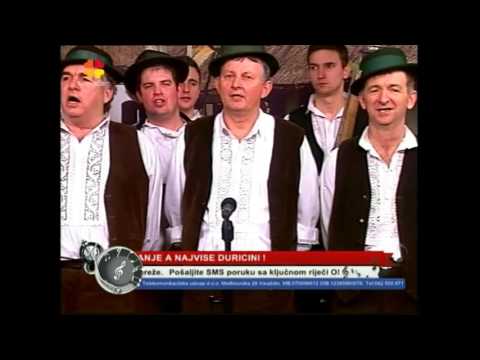 MPS "Zuce" Gundinci - Što se miče kroz šljivče, Procvjetala grana jorgovana