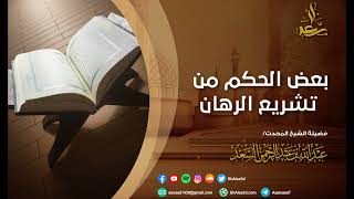 صورة بعض الحكم من تشريع الرهان