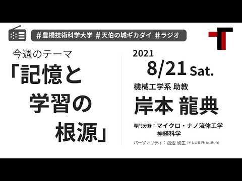 【音声】やしの実FM 天伯之城ギカダイ 2021/08/21【ラジオ】