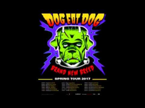 download lagu mp3 mp4 More Songs About Dogs And Beer, download mp3 More Songs About Dogs And Beer free download, download mp3 More Songs About Dogs And Beer
