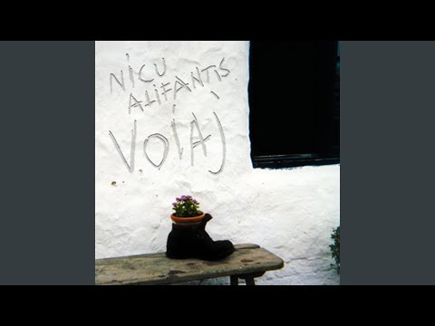 Voiaj - Nicu Alifantis