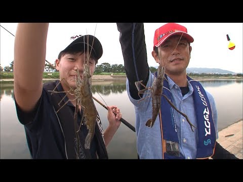 武庫川でお手軽フィッシング！手長エビもハゼも楽釣！/四季の釣り/2017年9月1日放送
