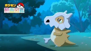 [閒聊] 寶可夢動畫圖鑑104 -卡拉卡拉