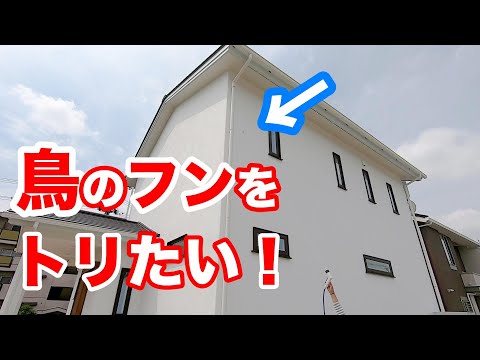 鳥の糞からテラスを掃除するにはどうすればよいですか？汚れや臭いを取り除くためのヒント  庭園