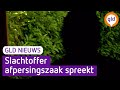 GLD Nieuws 10 juni 2021