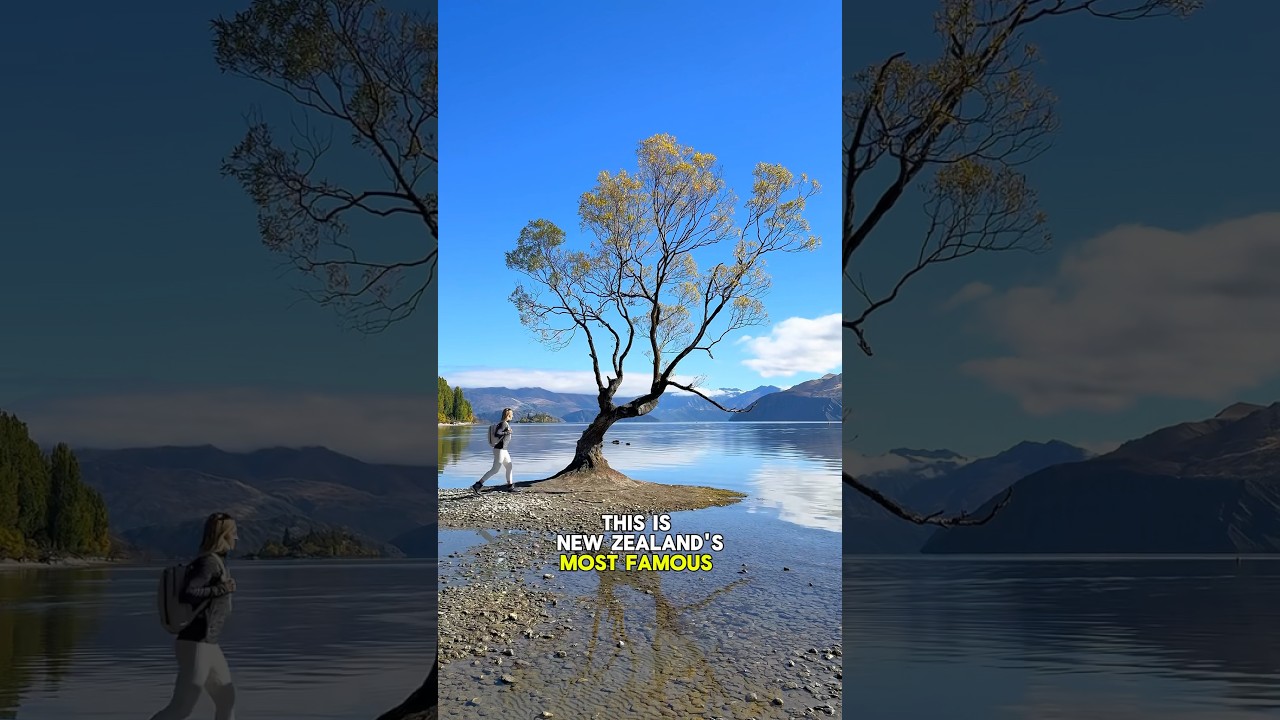 YouTube Short thumbnail