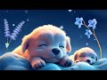Sleep Instantly Within 3 Minutes Insomnia Healing Stress Relief Anxiety And Depressive States