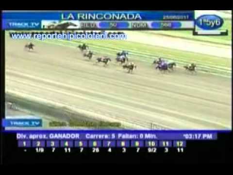 Resumen Sábado 25 de Junio de 2011 - La Rinconada