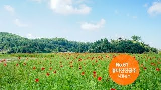 흥미진진공주 시정뉴스 NO.61 이미지