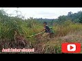 Perawatan Sawit Para Bocil Mantap