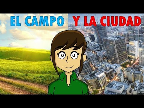 Ciudad video