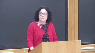 Rachel Moran | Liminal Latinos