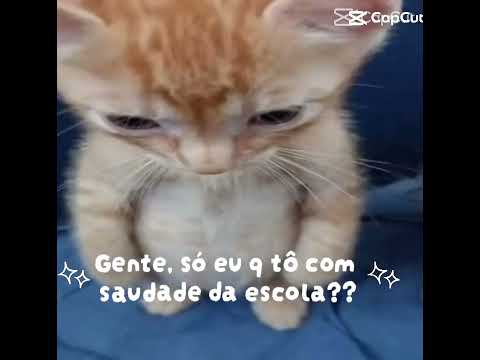 Eu sinto muito saudades da minha escola 😔