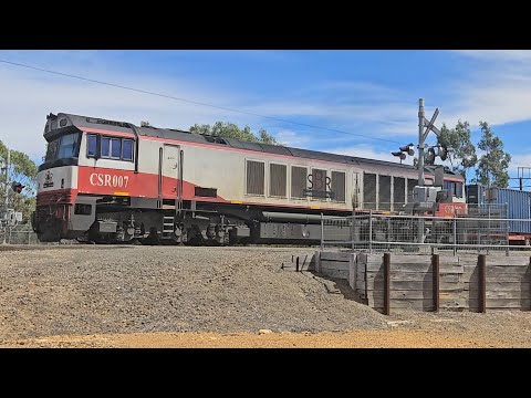 7922V SCT up "Dooen Express" (CSR007), Dooen to Melbourne, 1250, 17/2/25, Stawell East VIC