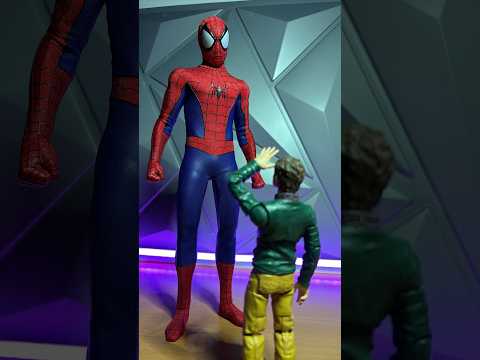 NEVER Disrespect the Spider #stopmotion