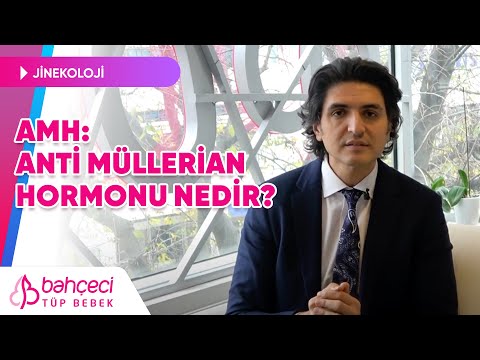 Amh: Anti Müllerian Hormonu Nedir? | Bahçeci Tüp Bebek