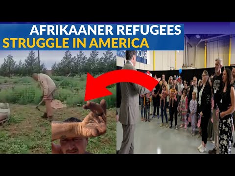 Afrikaner Refugees Struggle in America as U S  Blocks Asylum
