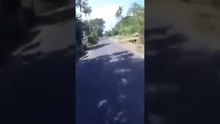 Download lagu sebab Cinta bukan hanya Nada || YAKINLAH - Iwan Fals #shortsvideo #storywa #maxim #lalamoverider mp3