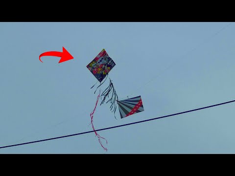 VRAAUL, PETERSSON SE REVOLTOU E FOI PRO RÉLO - PICOTADOR DE PIPAS !!!