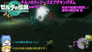 【ゼルダの伝説 ティアーズオブザキングダム】 チルノのティアーズオブザキングダム part91 地底の破魔の根探し！僻地の闘技場 他【ゆっくり実況】