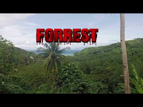 BARANGAY 32 Forrest 