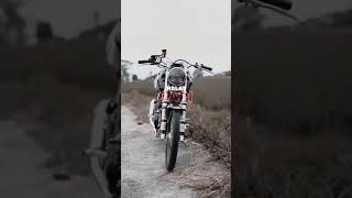 Download lagu story'wa cinematic Tiger herex #shorts mp3 Download lagu story'wa cinematic Tiger herex #shorts mp3